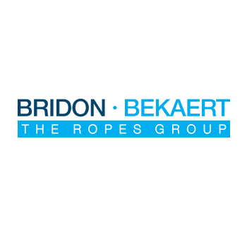 LOGO BRIDON